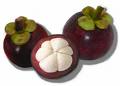 mangosteen